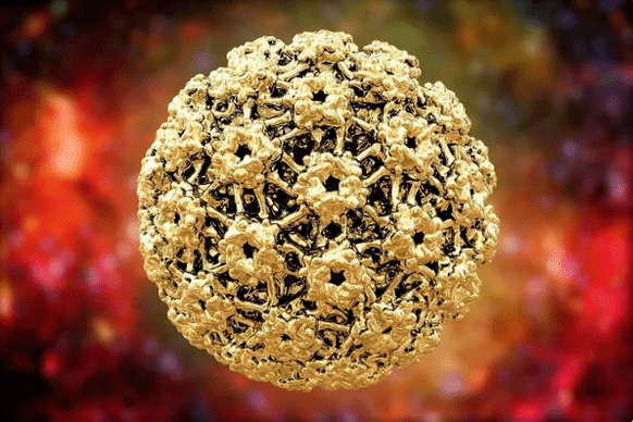 Human papilloma viruses