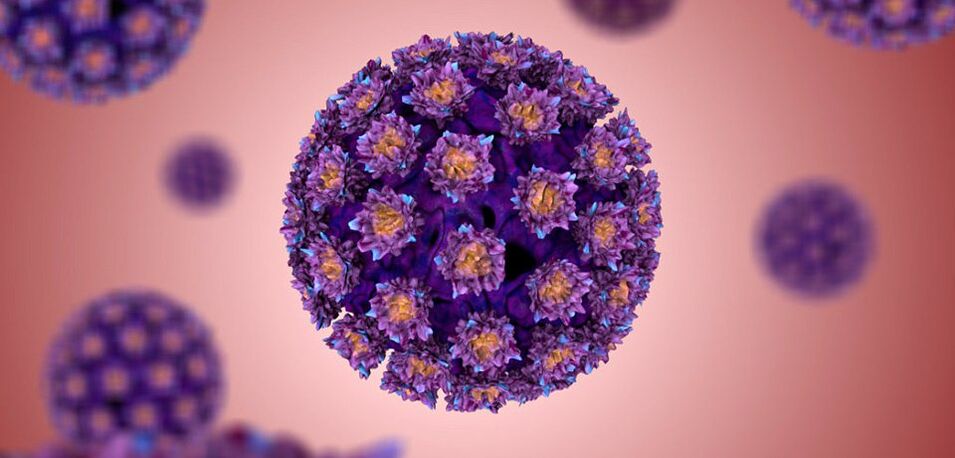 What does the human papillomavirus look like